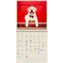 Nástenný kalendár Dogs 2024