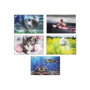 Laminovaná podložka na písanie DONAU, 55x35 cm, 5 motívov